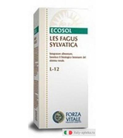 Equiseto Comp Ecosol gocce 10 ml