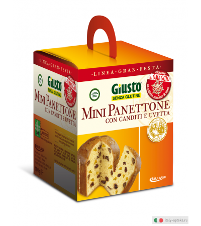 Giusto Mini Panettone con Canditi e Uvetta senza glutine 100g