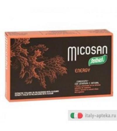 Micosan Energy tonico 40 capsule
