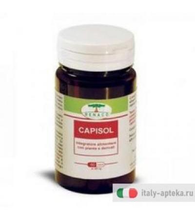 Renaco Capisol utile per il microcircolo 60 capsule