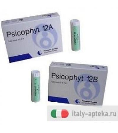 PSICOPHYT REMEDY 12B 4TUB 1,2G