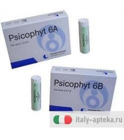 PSICOPHYT REMEDY 6B 4TUB 1,2G