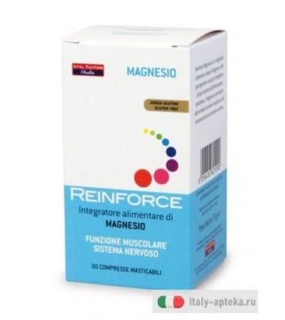 REINFORCE MAGNESIO 30CPR