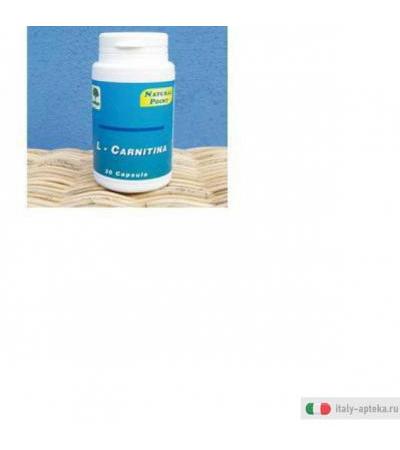 carnitina 300 integratore alimentare
