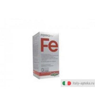 ferro ev fe